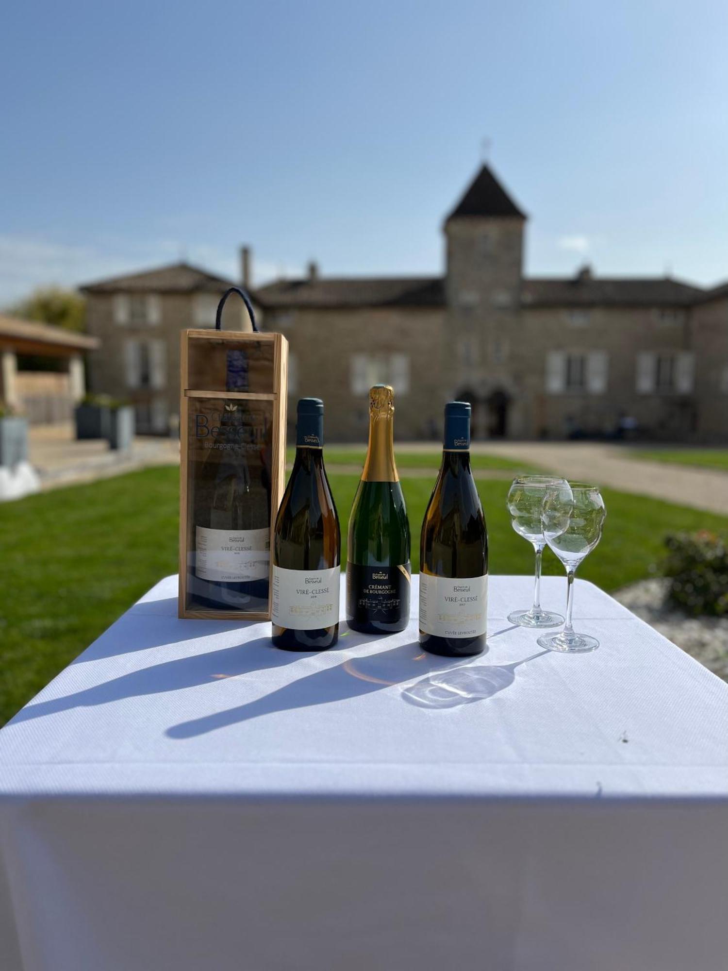 Hotel-restaurant Le Chateau De Besseuil, Macon Nord - Teritoria